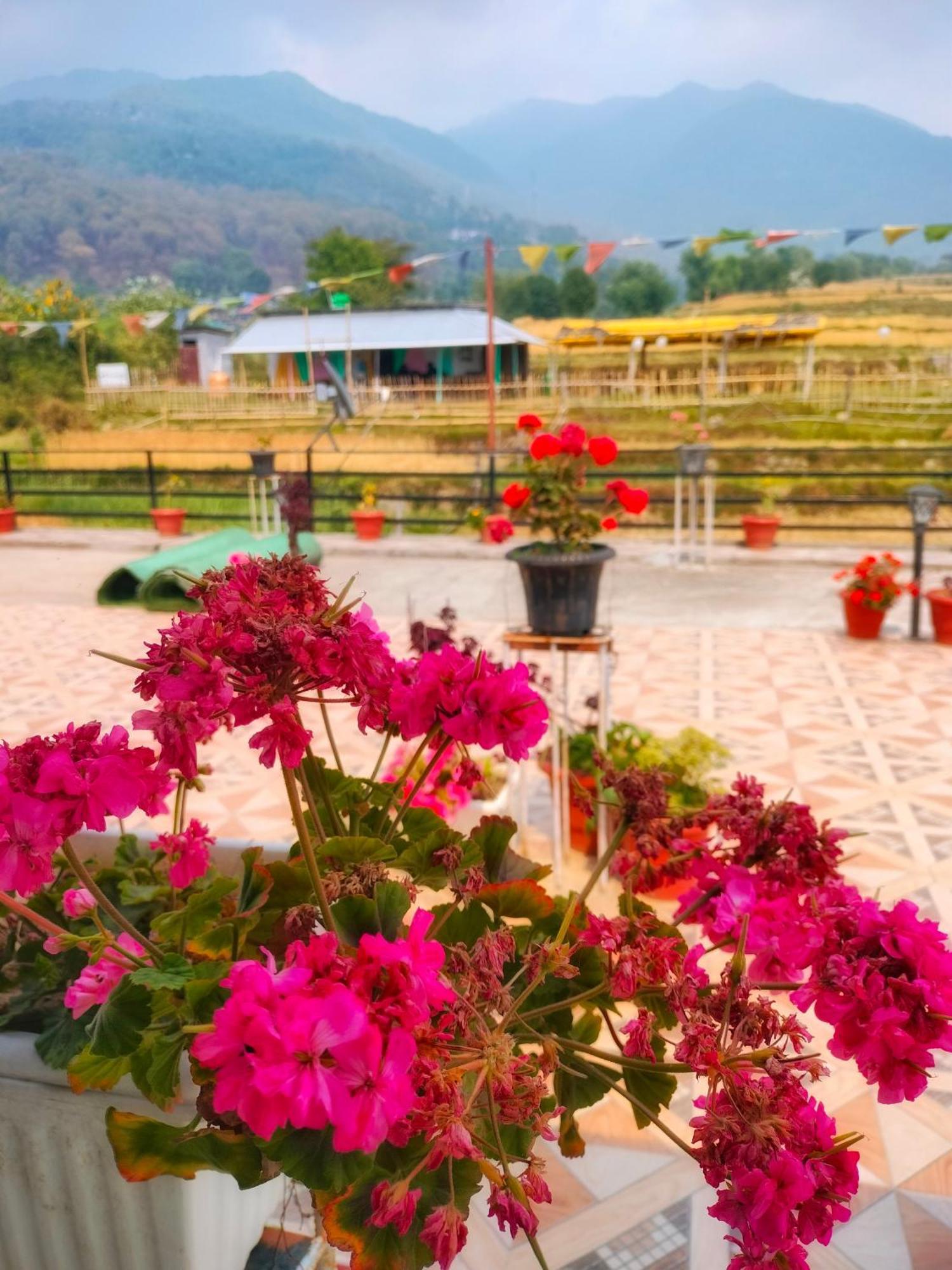 Raahi Stay, Landing Site Bir - Stay & Cafe Ngoại thất bức ảnh